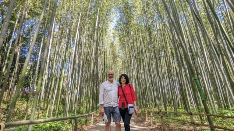 Full-Day Kyoto Walking Tour: Most Iconic Landmarks & Monkeys - Who Will Love This Tour?