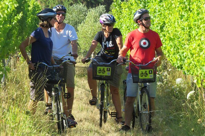 Full-Day Marlborough Wine Region Bike Hire - Who Will Love This Tour?