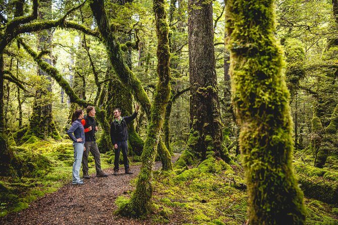 Full-Day Milford Sound Tour with Cruise and Walks from Te Anau - Milford Sound: The Star of the Show