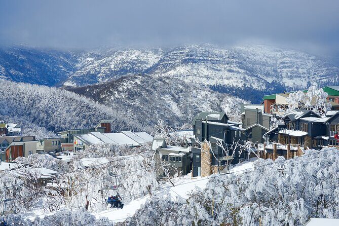 Full-Day Mount Buller Tour - Authentic Perspectives from Travelers