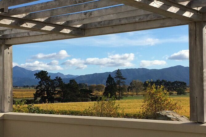 Full-Day Omaka Aviation Heritage Center and Wine Tasting Tour - Who Should Consider This Tour?