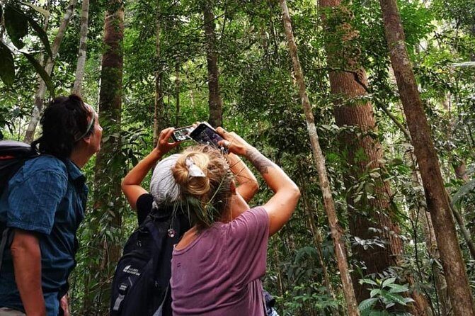 Full-Day Orangutans Adventure in Gunung Leuser - Practical Details and Value
