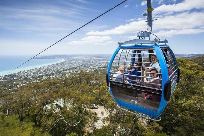 Full day - Peninsula Hot Springs & Bathing Boxes - Scenic Ride on Arthurs Seat Eagle