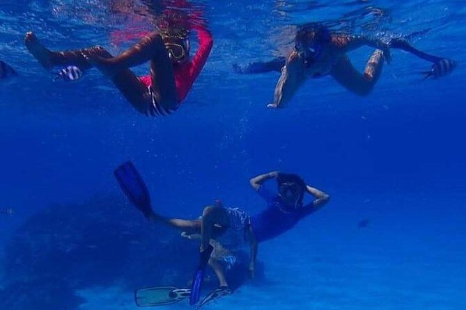 Full-Day Private Boat Tour of Bora Bora Lagoon with Snorkel - Why Choose a Private Tour?
