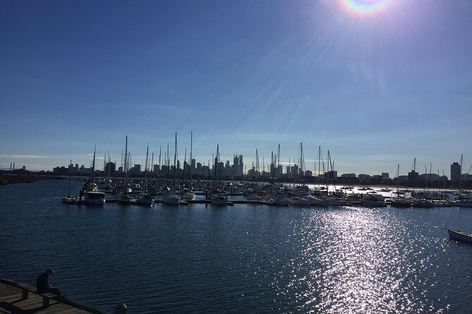 Full Day Private Melbourne Tour with enchanting Koala Encounters. - Who Will Love This Tour?