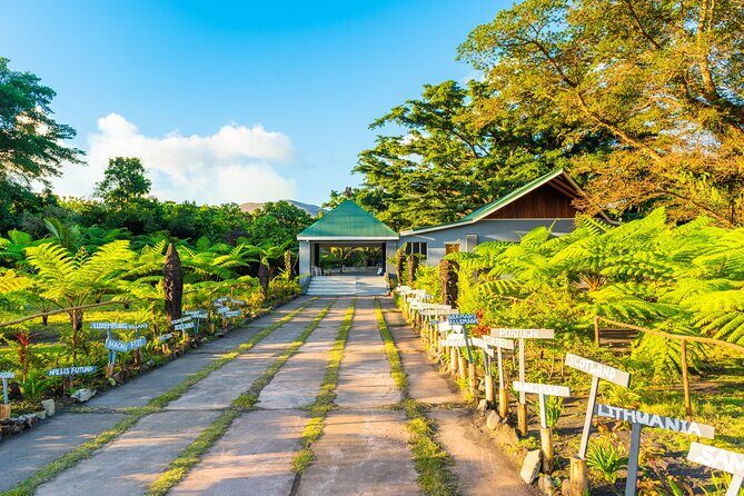 Full Day Private Shore Tour: Taste, Sea & Swim in Port Vila - Who Will Love This Tour?