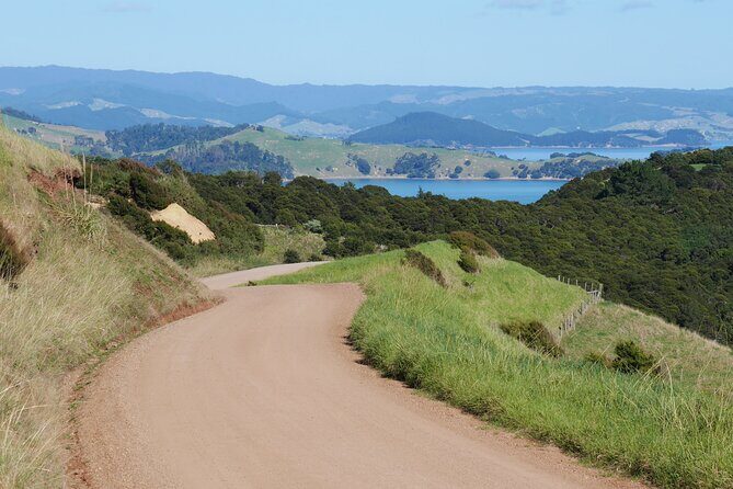 Full Day Private Waiheke Island Wine Tour Including Lunch - Who Would Love This Tour?