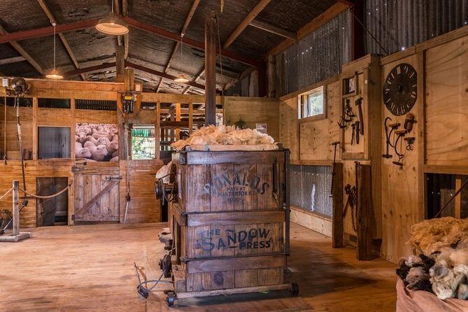 Full-Day Rainforest Getaway in Northland - Who Should Consider This Tour?