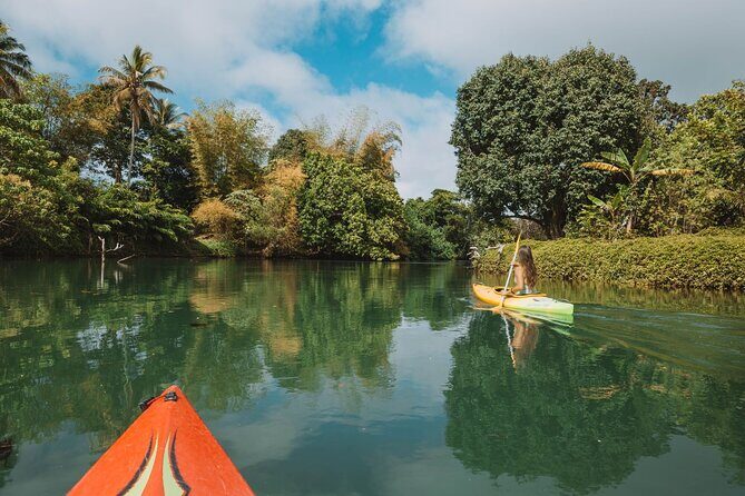 Full Day River Kayaking & Cascades from Port Vila - An In-Depth Look at the Tour Itself