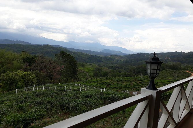 Full Day Sabah Tea Plantation & WWII Memorial - What Reviewers Say