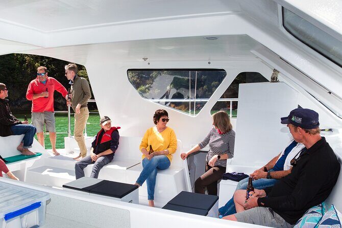 Full-Day Sailing Adventure in the Abel Tasman National Park - The Experience: What Travelers Are Saying