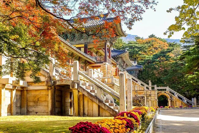 Full-Day Small Group GyeongJu History Tour from Seoul - The Experience and Logistics
