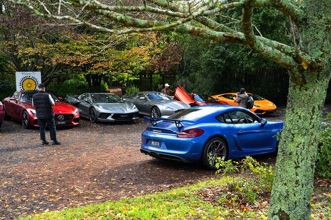 Full-Day Supercar Drive Experience from Auckland (lunch included) - Exploring the Experience in Detail