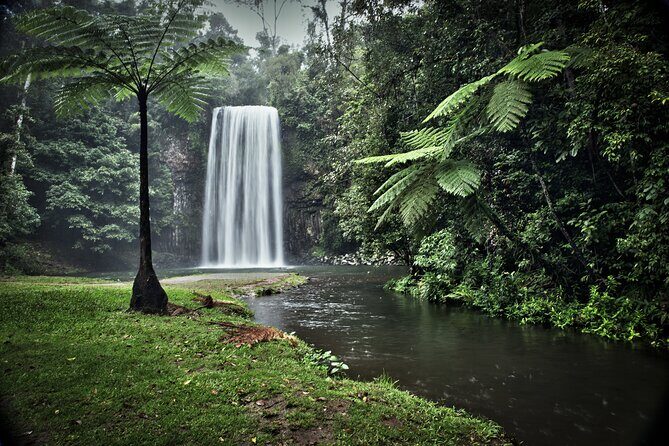 Full-day Tour at the Atherton Tablelands with Food Tasting - Who Is This Tour Best Suited For?