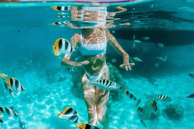 Full Day Tour : Moorea Snorkeling & Sunset Cruise on a Catamaran named Taboo - The Value of This Experience