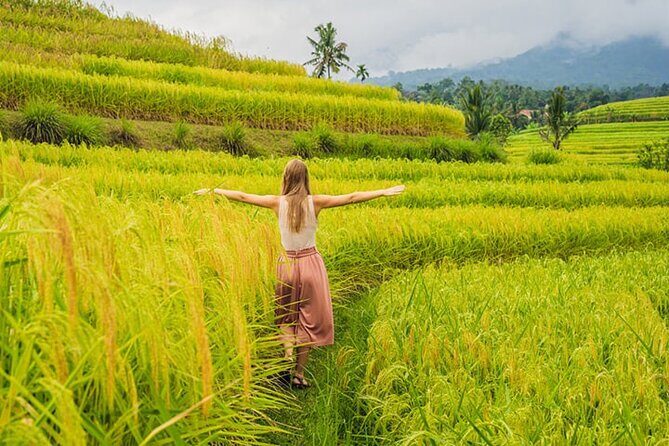 Full Day Tour Tanah Lot, Jatiluwih, Danau Beratan - Authentic Experiences & Authenticity