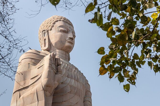 Full Day Varanasi City Tour with Sarnath and Evening Ganga Aarti - The Sum Up
