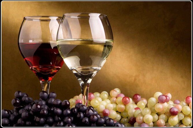 Full-Day Wine Gourmet and Scenic Delight Tour of Marlborough from Picton - What the Itinerary Looks Like