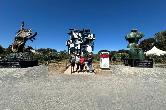 Full Day Wine Tasting Tour in McLaren Vale - An In-Depth Look at the Tour Experience