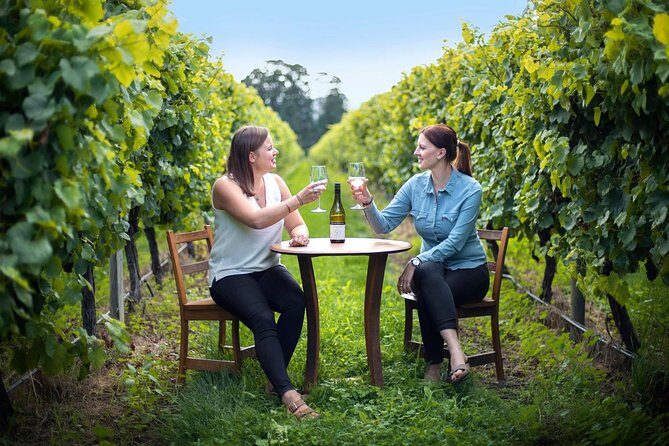 Full-Day Wine Tour from Blenheim - Who Should Book This Experience?