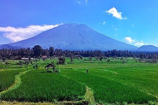 Full Day Wonders of Bali Private Tour with Pickup and Lunch - Why This Tour Offers Good Value