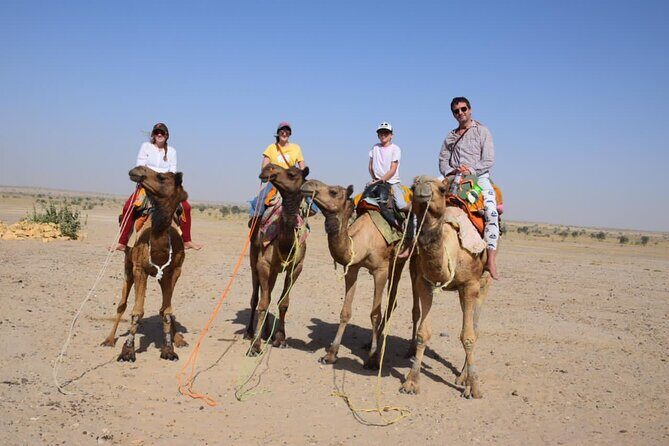Fullday Overnight Camel Safari (Non Touristic) - Why Reviewers Love This Experience
