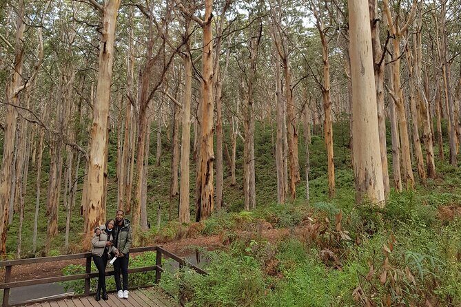 Fully Tailored Private Bespoke Tour of Margaret River - Authentic, Well-Reviewed, and Highly Recommended