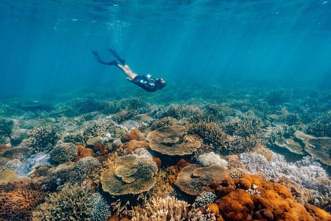 Funtastic Catamaran Cruise and Snorkel of Great Keppel Islands - An In-Depth Look at the Funtastic Catamaran Experience