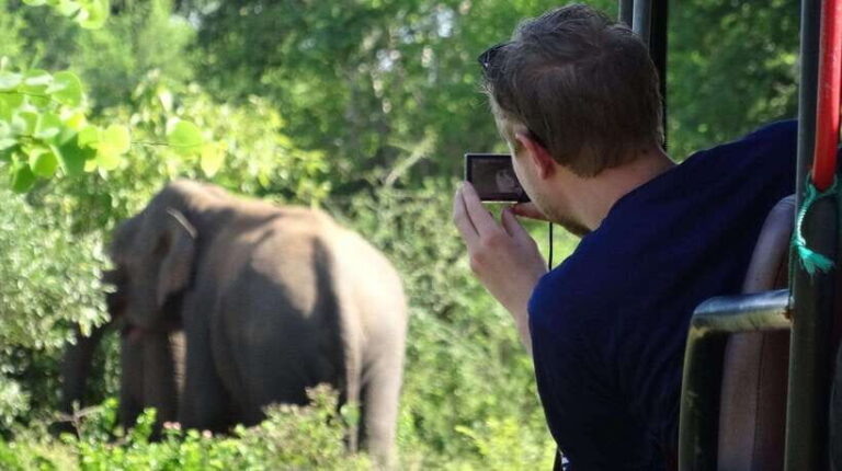 Galle: All Inclusive Morning Leopard Safari in Yala -Private - Why Choose This Safari?