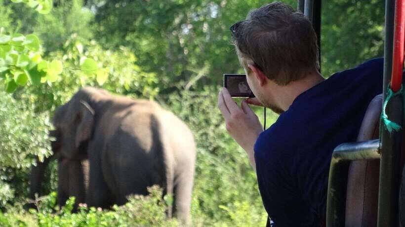 Galle: All Inclusive Morning Leopard Safari in Yala -Private - Why Choose This Safari?