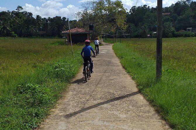Galle Family Fun Bike Ride - Who Is This Tour Best For?
