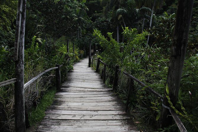 garden of the sleeping giant and mudpool tour combo - Conclusions: Who Will Love This Experience?