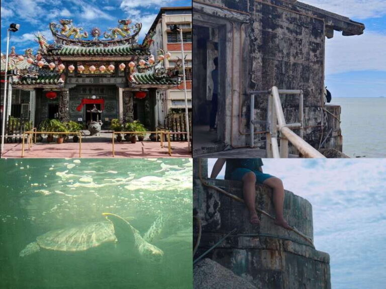 George Town: Penang Customizable Private Tour - What’s Included and What’s Not