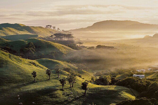Geothermal & Nature Full Day Private Tour : Rotorua & Taupo - The Experience and Traveler Feedback