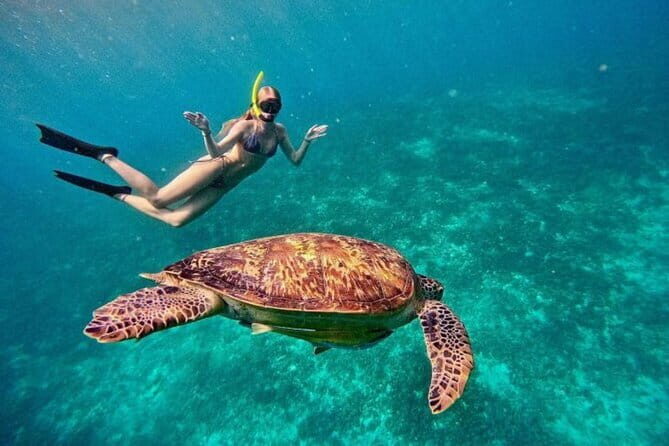 Gili Trawangan Snorkeling with Turtles & Underwater Statue - Why This Tour Offers Good Value