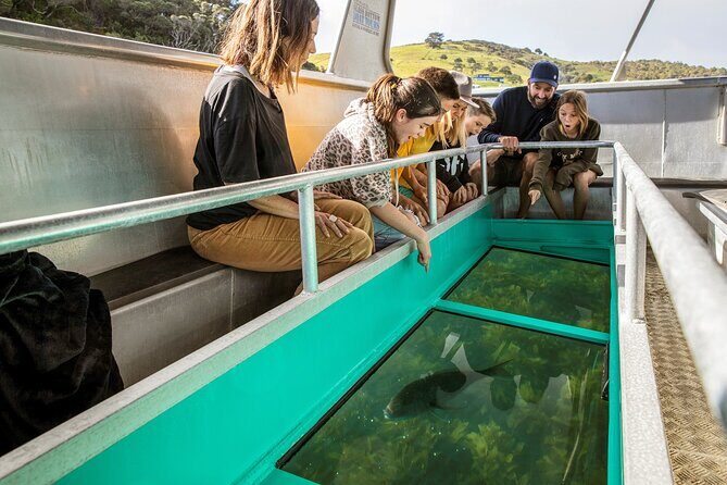 Glass Bottom Boat Tour - The Itinerary: What to Expect