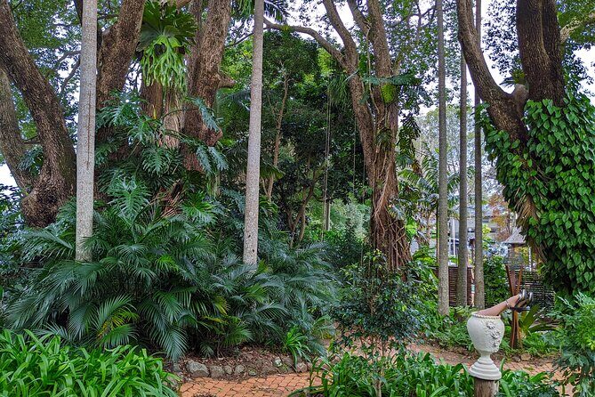 Glass House Mountains, Maleny and Montville Tour from Brisbane - The Value and Practicality of the Tour