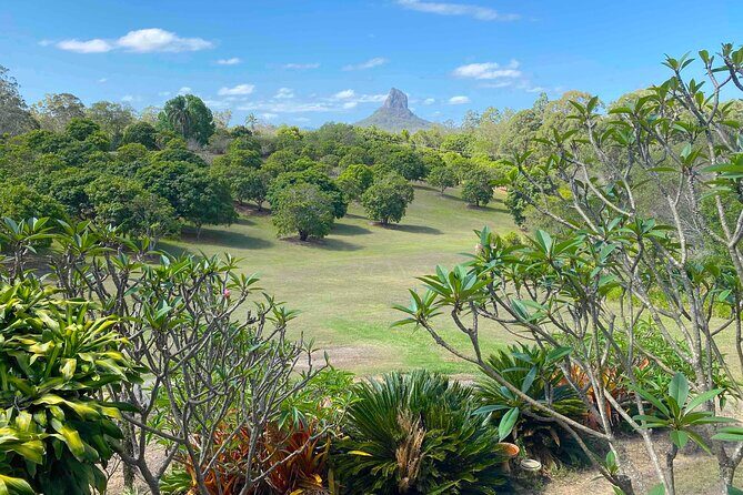 Glass House Mountains Tour with Lunch, Lookouts, and Nature Walks - What Travelers Love About This Tour