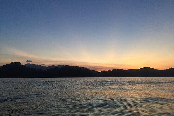 Glow-in-the-Dark Mangrove Adventure  Night Safari Plus Dinner - What Travellers Say