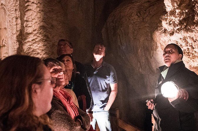 Glow Worm Caves Express Tour in Bay of Islands - Highlights from Traveler Reviews