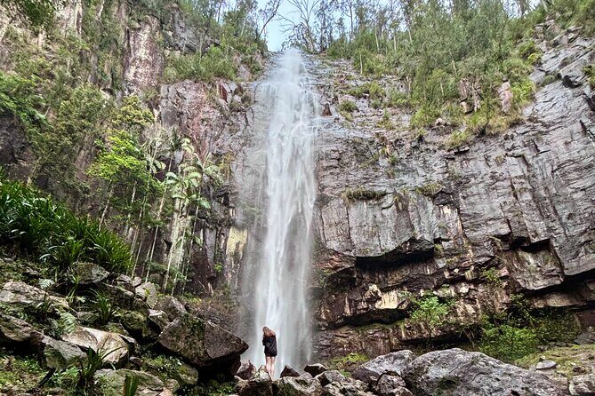 Glow-worms, Waterfalls & Rainforest Experience - The Itinerary in Detail