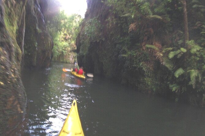Glowworm Kayak Adventure on the Waikato River - Detailed Breakdown of the Itinerary