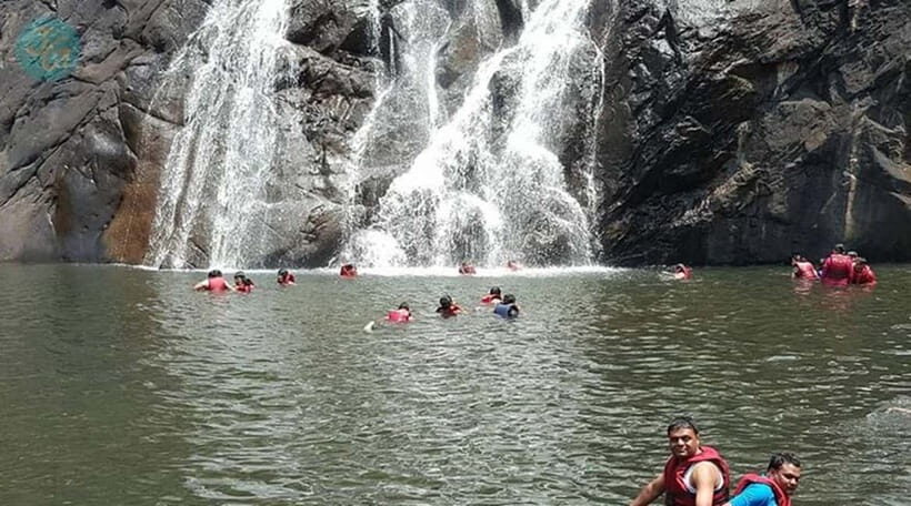 Goa: Dudhsagar Waterfall, Jeep Safari and Spice Plantation - An In-Depth Look at the Tour Experience