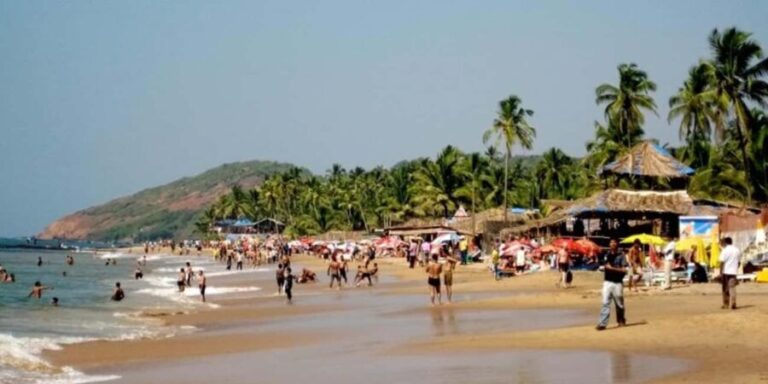 Goa in Full Flavor: Forts, Feni & Waves with breakfast - Who Should Consider This Tour?
