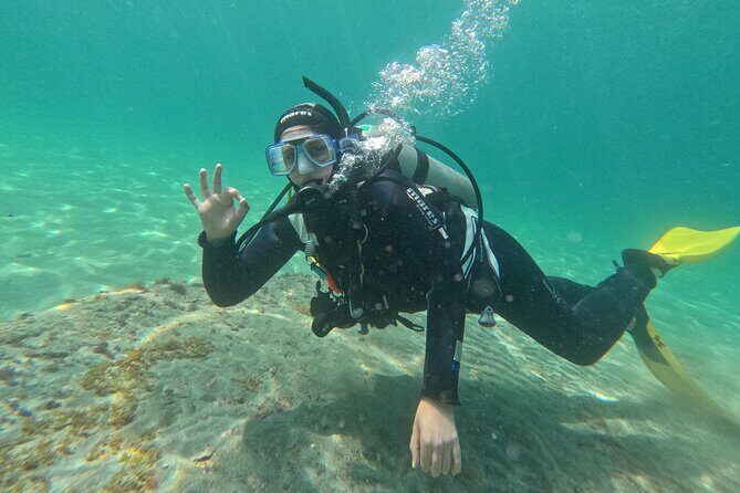 Goat Island Experience Guided Shore Dive - What to Expect in the Itinerary
