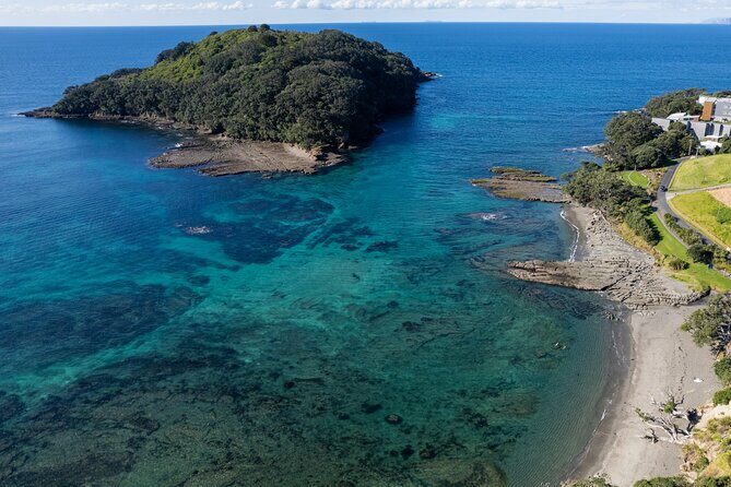 Goat Island Experience Guided Snorkelling for Beginners - The Authentic Marine Encounter