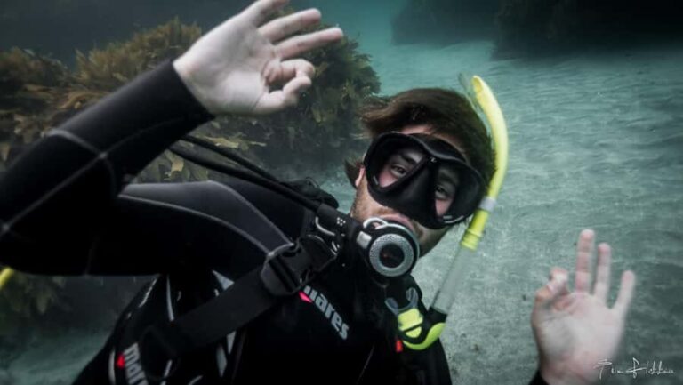 Goat Island Try Scuba Diving Experience - Weather and Cancellation Policy