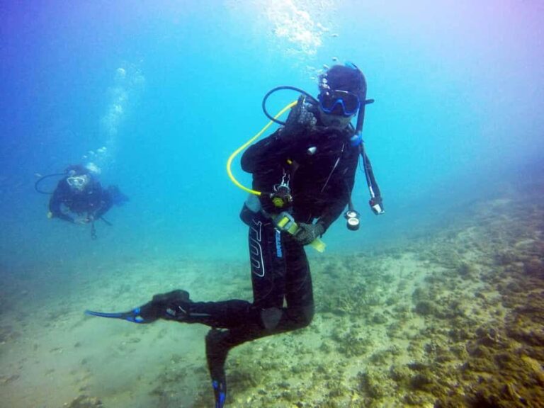 Gold Coast: 3-Day PADI Open Water Course - Introduction: The Promise of the Gold Coast’s Underwater World