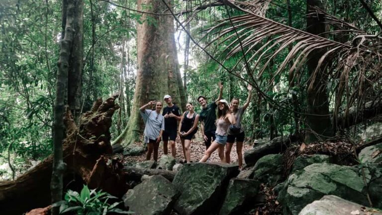 Gold Coast: 6 Waterfalls, Koalas & Natural Bridge Day Tour - An In-Depth Look at This Gold Coast Adventure