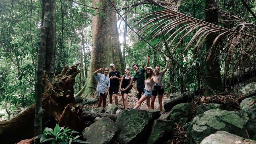 Gold Coast: 6 Waterfalls, Koalas & Natural Bridge Day Tour - An In-Depth Look at This Gold Coast Adventure